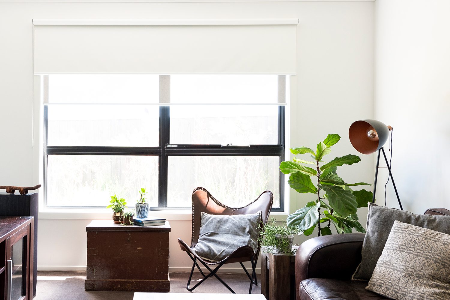 Double Roller Blinds