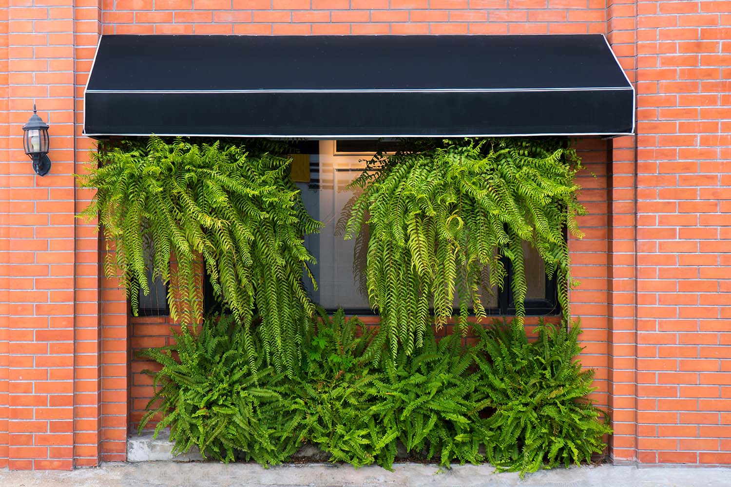 French Canopy Awning