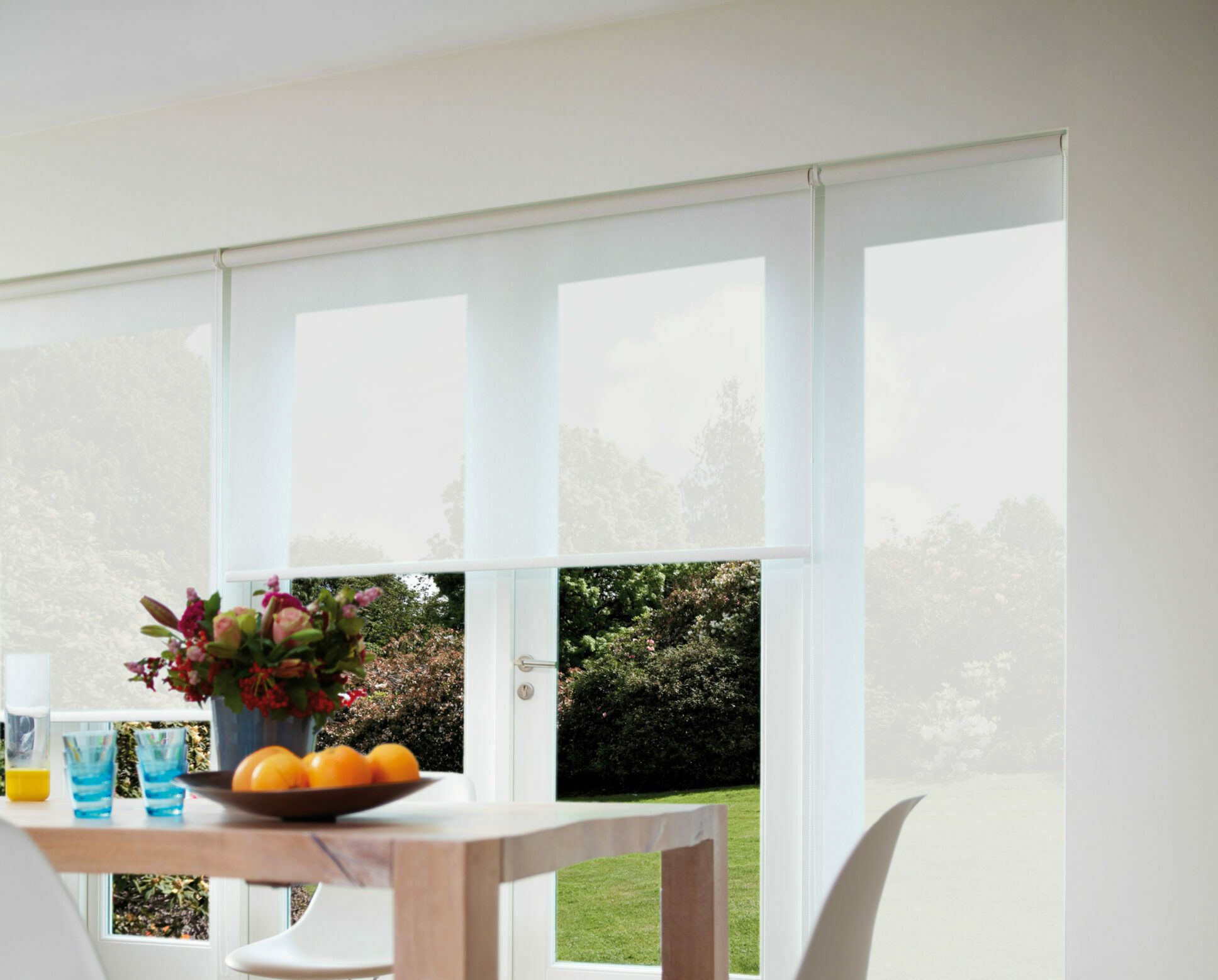 Sheer Roller Blinds
